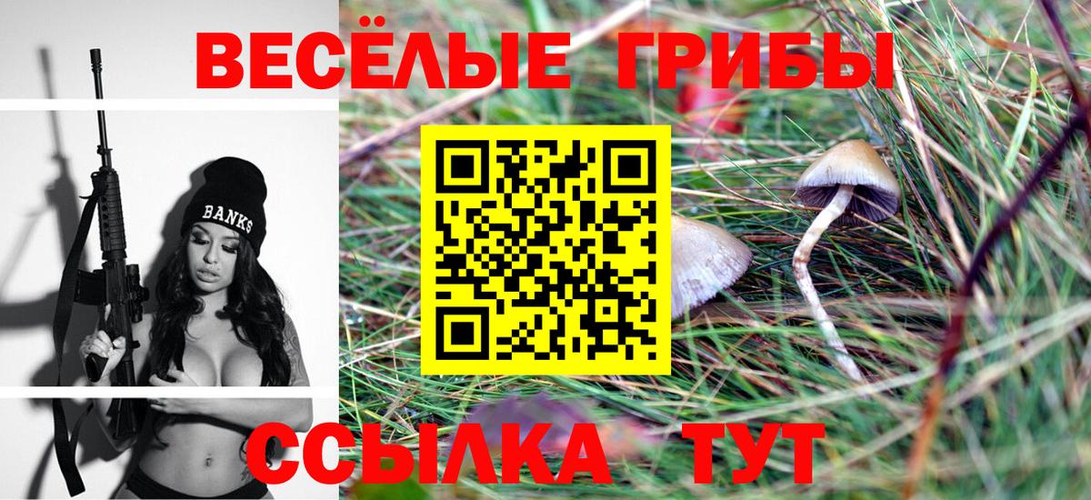 Псилоцибиновые грибы GOLDEN TEACHER Балабаново